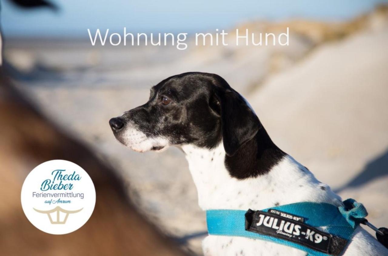 Haus Watthus - Wohnung Paradies Nebel Esterno foto